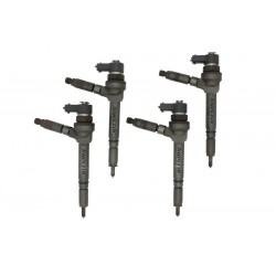 0445110175 BOSCH Vstreky použité