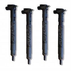 25183185 DELPHI Vstreky použité