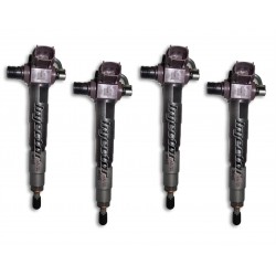 16613-AA040 DENSO Vstreky použité