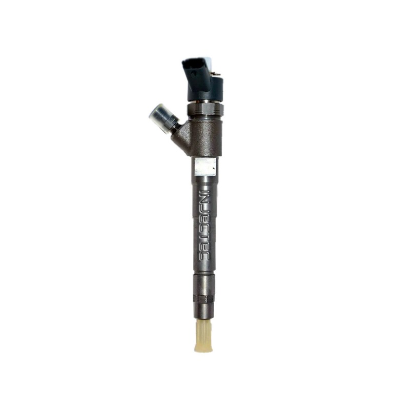 New Holland New Bosch Injector